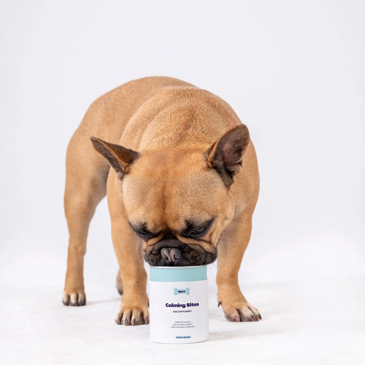 Tipaw Calming Bites Natural Supplement for Dogs