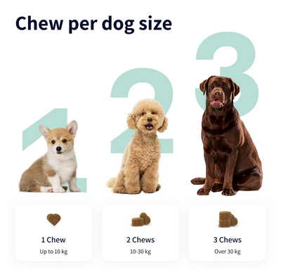 Tipaw Calming Bites Natural Supplement for Dogs