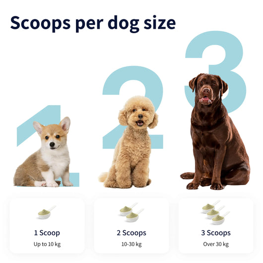 Tipaw Dental Care Powder For Dogs