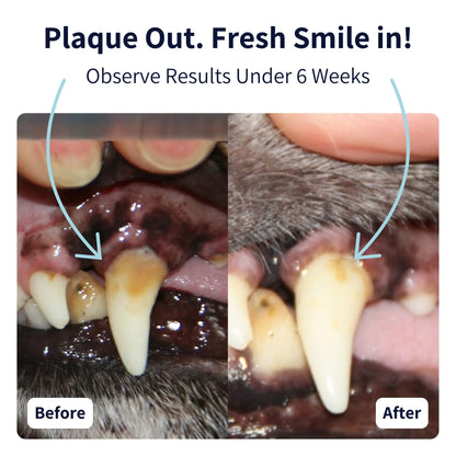 Tipaw Dental Care Powder For Dogs