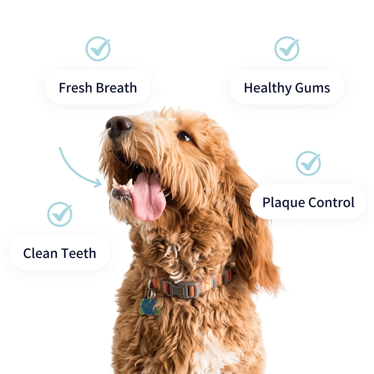 Tipaw Dental Care Powder For Dogs
