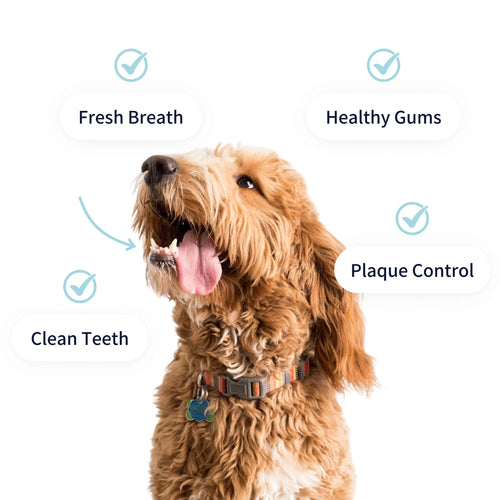 Tipaw Dental Care Powder For Dogs