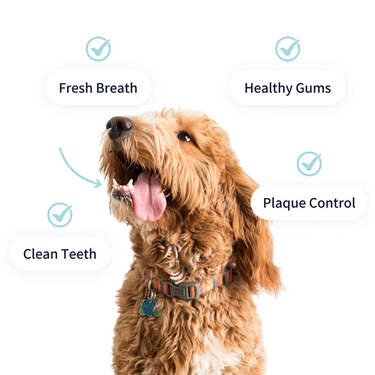 Tipaw Dental Care Powder For Dogs