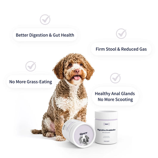 Tipaw Probiotics for Dogs