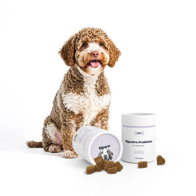 Tipaw Probiotics for Dogs