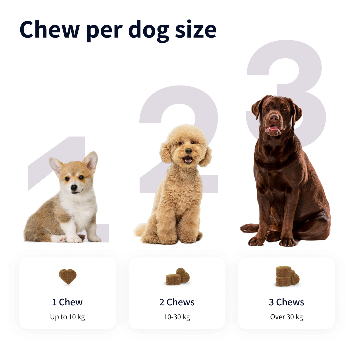 Tipaw Probiotics for Dogs