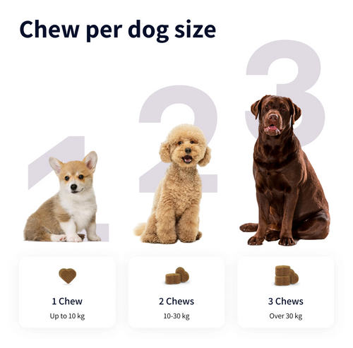 Tipaw Probiotics for Dogs