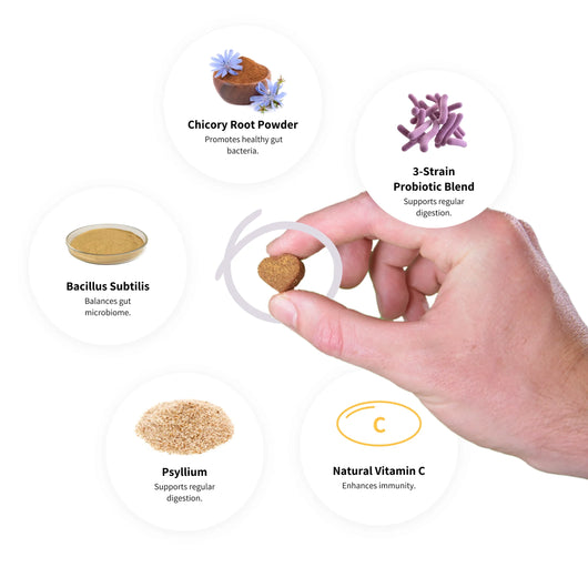 Tipaw Probiotics for Dogs