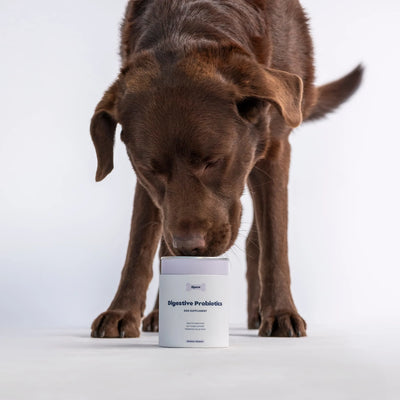 Tipaw Probiotics for Dogs