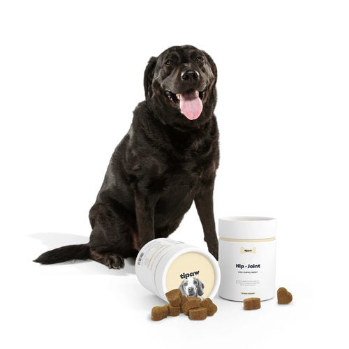 Tipaw Hip & Joint Natural Supplement For Dogs