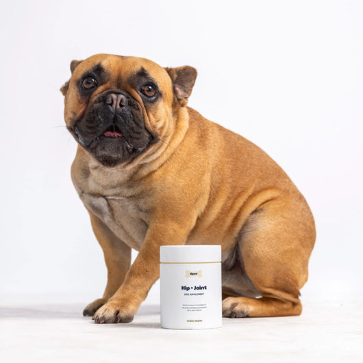 Tipaw Hip & Joint Natural Supplement For Dogs