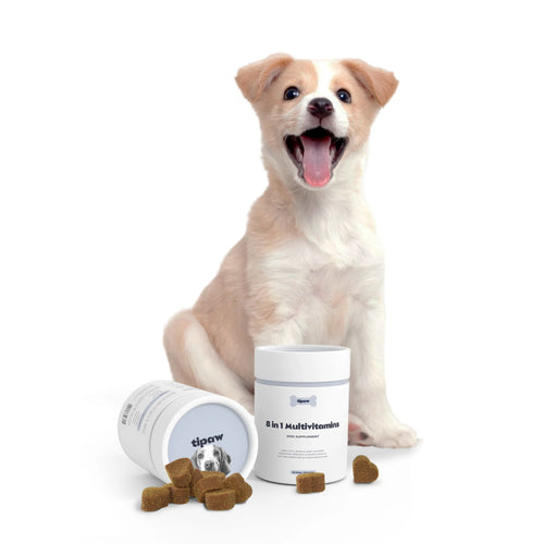 Tipaw Multivitamin Natural Supplements for Dogs