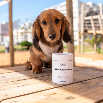 Tipaw Multivitamin Natural Supplements for Dogs