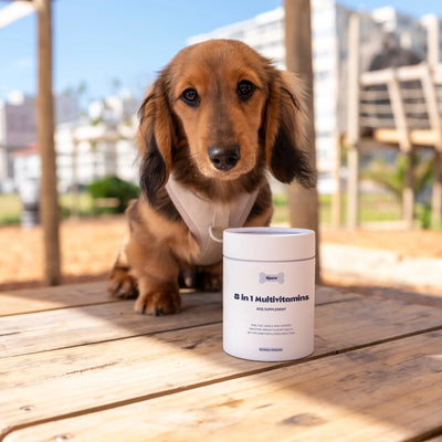 Tipaw Multivitamin Natural Supplements for Dogs