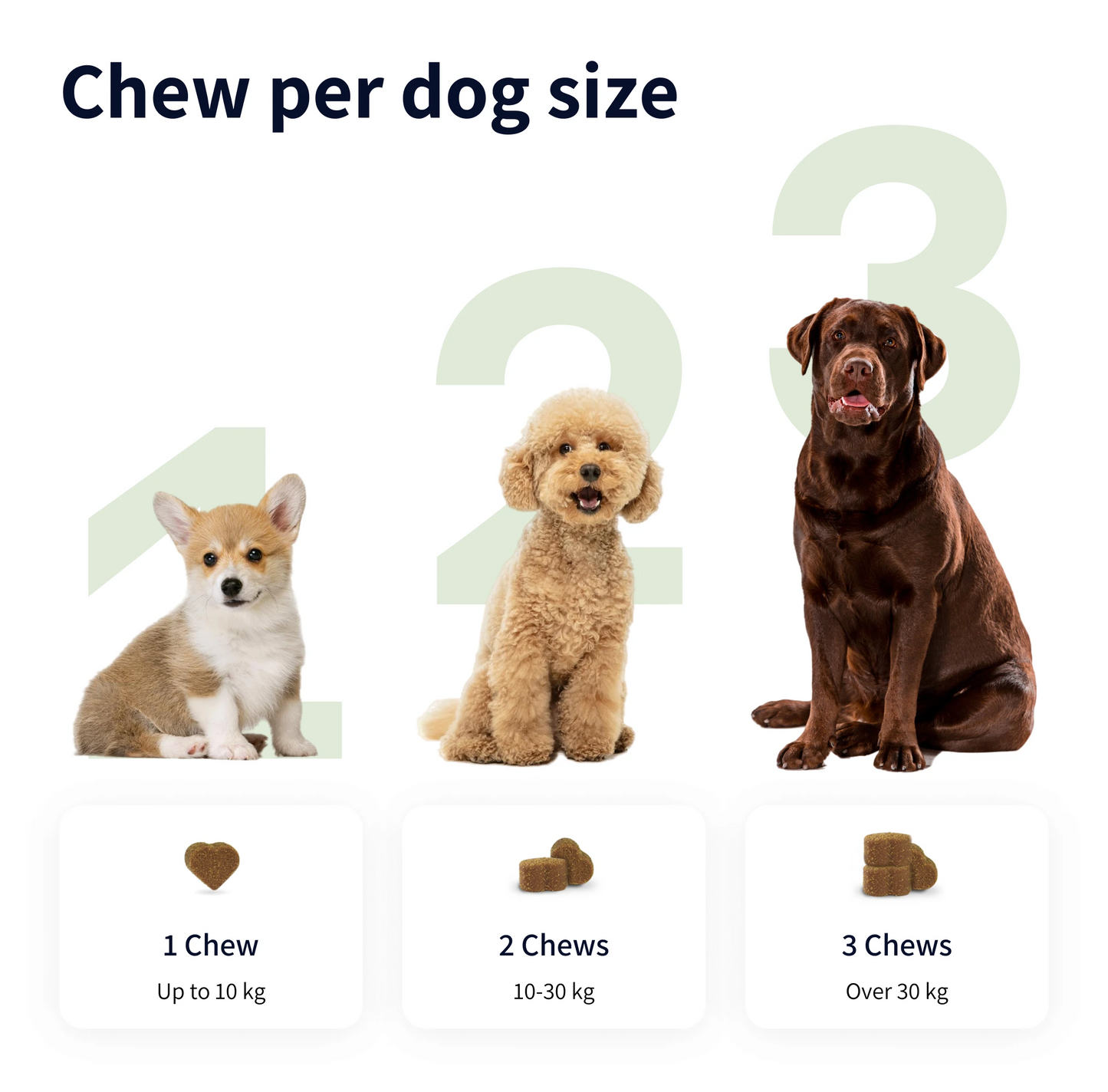 Tipaw Allergy & Itch Natural Supplement for Dogs