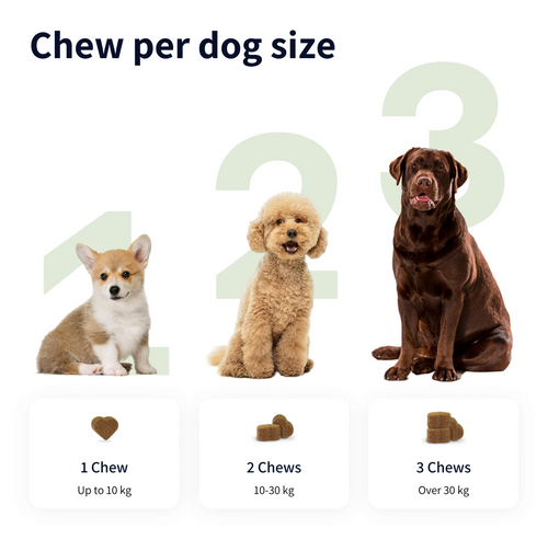 Tipaw Allergy & Itch Natural Supplement for Dogs