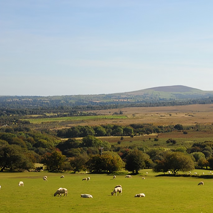 A small family business in Pembrokeshire